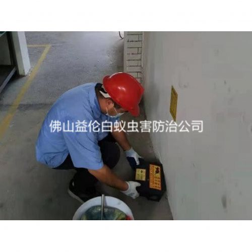 官窑住宅楼道灭老鼠