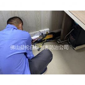 大沥房屋治白蚁工程