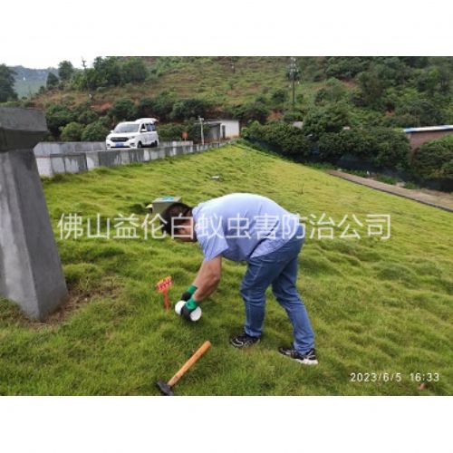 狮山水利工程红火蚁防治